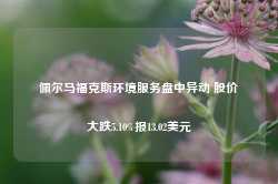 佩尔马福克斯环境服务盘中异动 股价大跌5.10%报13.02美元-第1张图片-健康网