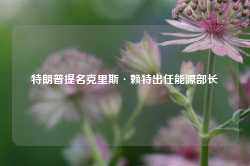 特朗普提名克里斯·赖特出任能源部长-第1张图片-健康网