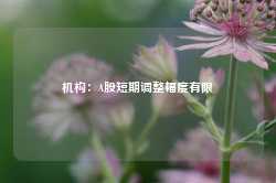 机构：A股短期调整幅度有限-第1张图片-健康网