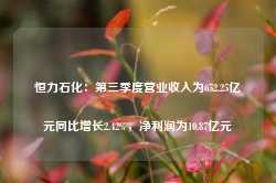 恒力石化：第三季度营业收入为652.25亿元同比增长2.42%，净利润为10.87亿元-第1张图片-健康网