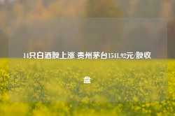 14只白酒股上涨 贵州茅台1541.92元/股收盘-第1张图片-健康网