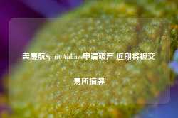 美廉航Spirit Airlines申请破产 近期将被交易所摘牌-第1张图片-健康网