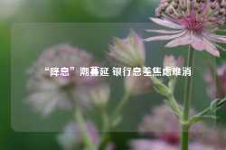 “降息”潮蔓延 银行息差焦虑难消-第1张图片-健康网