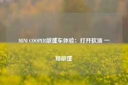 MINI COOPER敞篷车体验：打开软顶 一路敞篷-第1张图片-健康网