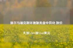 佩尔马福克斯环境服务盘中异动 股价大涨5.16%报13.65美元-第1张图片-健康网