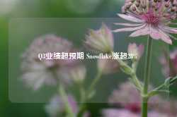 Q3业绩超预期 Snowflake涨超28%-第1张图片-健康网