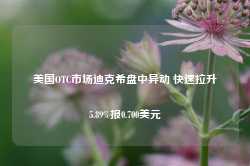 美国OTC市场迪克希盘中异动 快速拉升5.89%报0.700美元-第1张图片-健康网