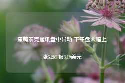 康姆泰克通讯盘中异动 下午盘大幅上涨5.28%报3.19美元-第1张图片-健康网