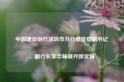 中国建设银行深圳市分行原党委副书记、副行长李华峰被开除党籍-第1张图片-健康网