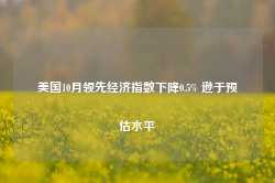 美国10月领先经济指数下降0.5% 逊于预估水平-第1张图片-健康网