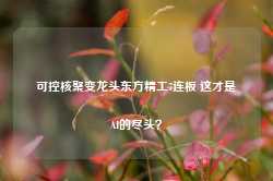 可控核聚变龙头东方精工7连板 这才是AI的尽头？-第1张图片-健康网