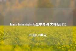 Jumia Technologies Ag盘中异动 大幅拉升5.22%报3.83美元-第1张图片-健康网