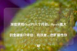 深度使用ChatGPT六个月后，OpenAI最大的金融客户评估：有效果，但扩展性存疑-第1张图片-健康网