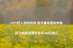 COP29进入加时阶段 部分富裕国家同意将气候融资提至每年3000亿美元-第1张图片-健康网