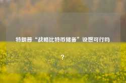 特朗普“战略比特币储备”设想可行吗？-第1张图片-健康网