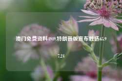 澳门免费资料4949,特朗普版宣布胜选65.97.24-第1张图片-健康网