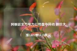 阿根廷北方电力公司盘中异动 股价大涨5.01%报38.11美元-第1张图片-健康网