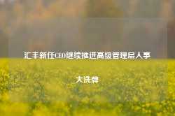 汇丰新任CEO继续推进高级管理层人事大洗牌-第1张图片-健康网