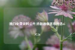 澳门免费资料公开,特朗普版宣布胜选65.97.56-第1张图片-健康网