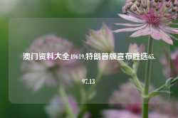 澳门资料大全49619,特朗普版宣布胜选65.97.13-第1张图片-健康网