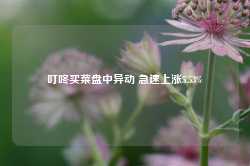 叮咚买菜盘中异动 急速上涨5.53%-第1张图片-健康网