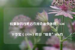 权重股的压舱石作用会逐步体现，A50ETF华宝（159596）昨日“吸金”6836万-第1张图片-健康网