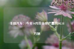 丰田汽车：今年10月份全球产量为102.18万辆-第1张图片-健康网