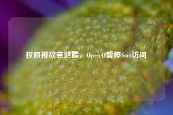 权限被故意泄露，OpenAI暂停Sora访问-第1张图片-健康网