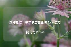 渤海轮渡：第三季度营业收入6.46亿元，同比增长1.36%-第1张图片-健康网